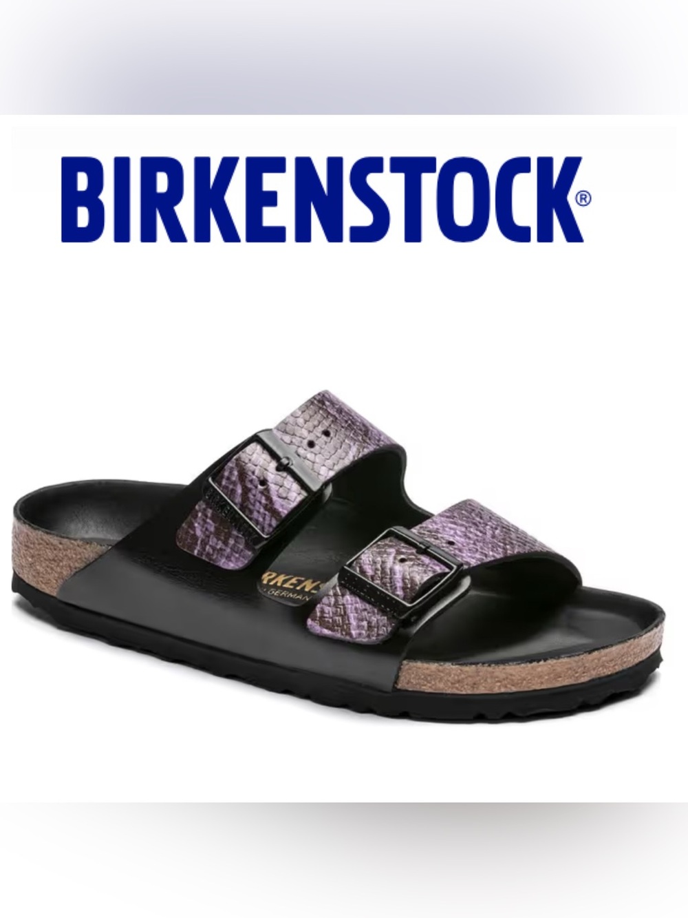 Arizona BS Black Snake Purple